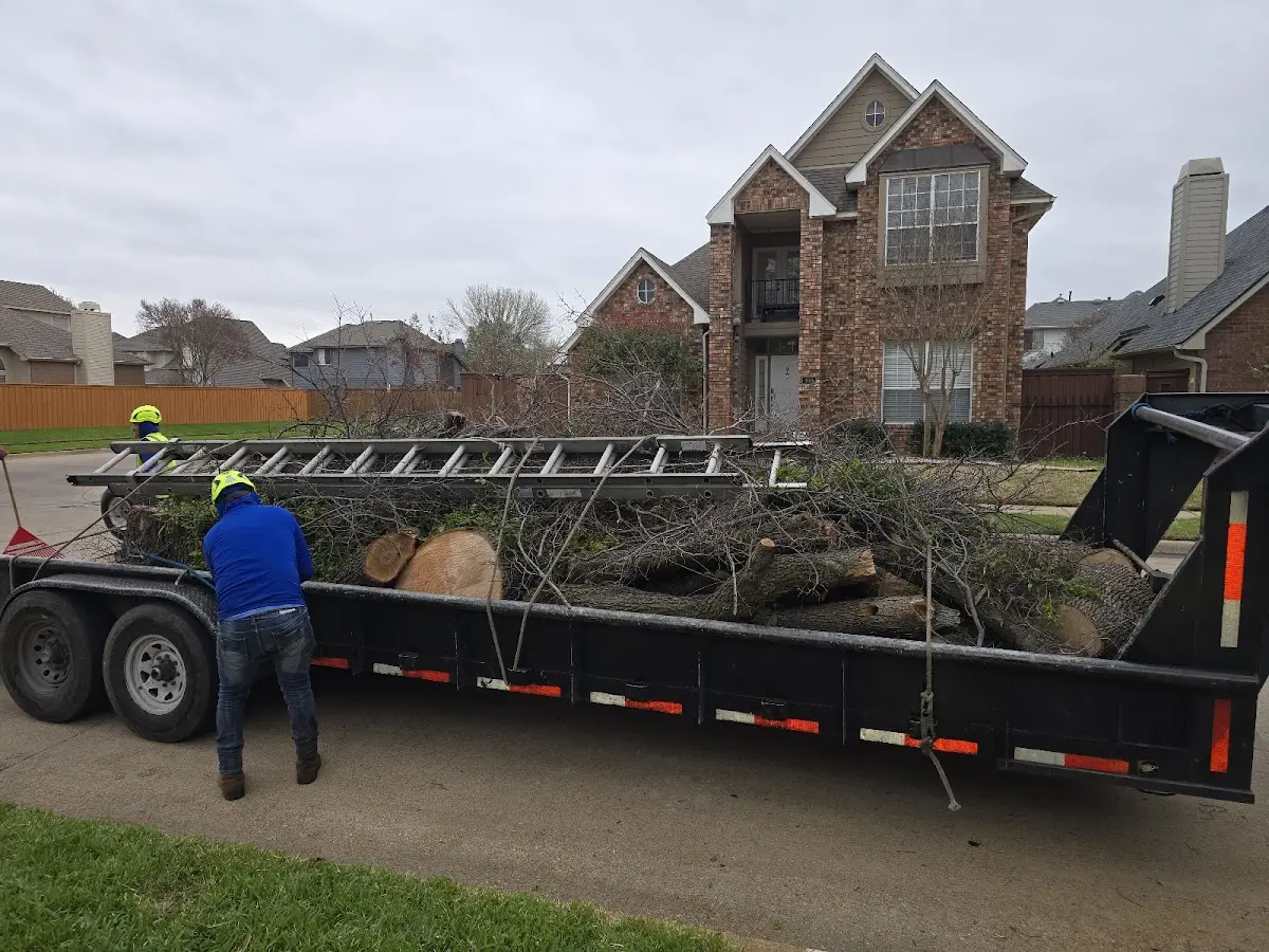 Expert Tree Fertilization with proper safety equipment in Saint Stephens Church